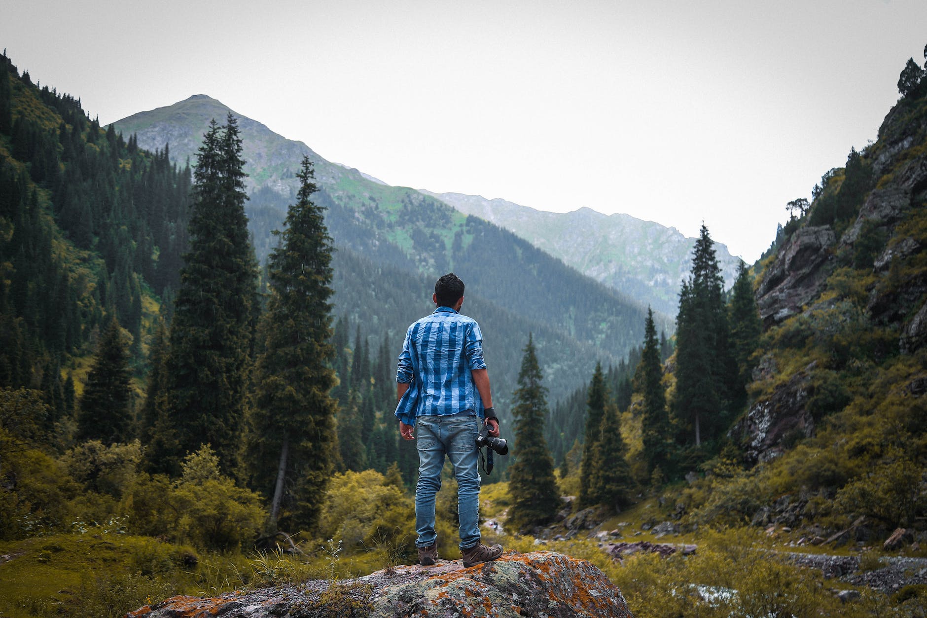 Homme qui regarde la nature pour prendre une photo